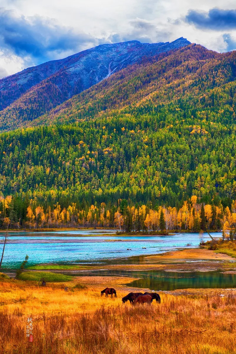 探寻新疆，历史与文化交融的丝绸之路秘境